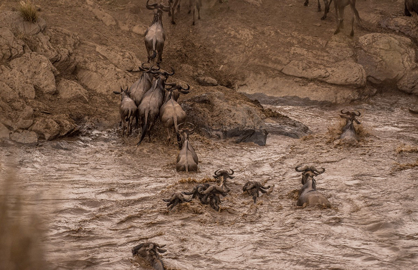 14 Day Kenya, Tanzania & Zanzibar